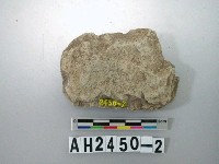 藏品(小型打製石斧)的圖片